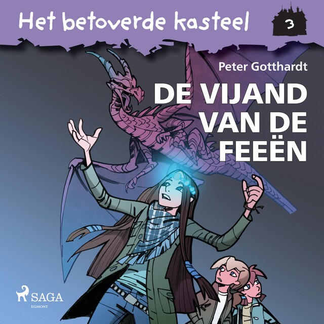 Book cover for Het betoverde kasteel 3 - De vijand van de feeën