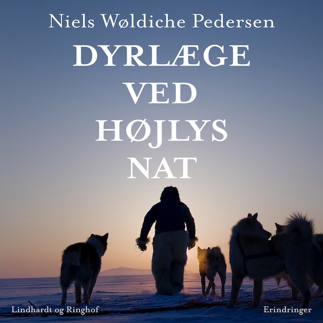 Book cover for Dyrlæge ved højlys nat