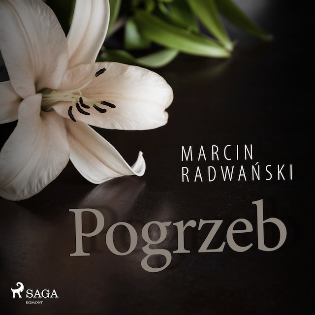 Book cover for Pogrzeb