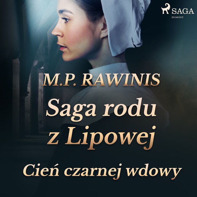 Book cover for Saga rodu z Lipowej 10: Cień czarnej wdowy