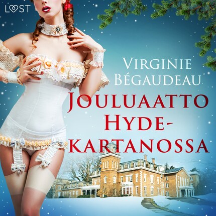 Jouluaatto Hyde-kartanossa - eroottinen novelli bookCoverFor