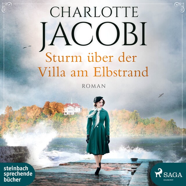 Couverture de livre pour Sturm über der Villa am Elbstrand (Elbstrand-Saga, Band 3)