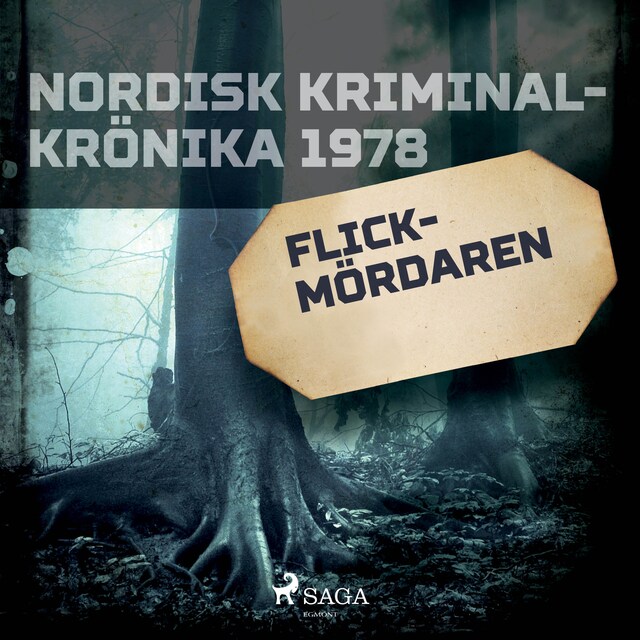 Copertina del libro per Flickmördaren