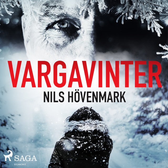 Book cover for Vargavinter
