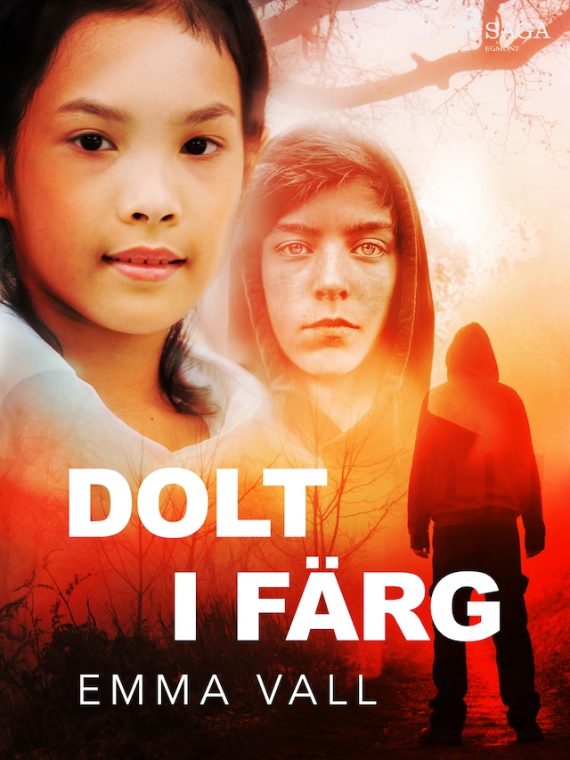 Book cover for Dolt i färg
