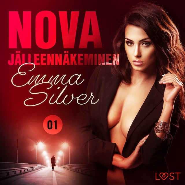 Book cover for Nova 1: Jälleennäkeminen - eroottinen novelli