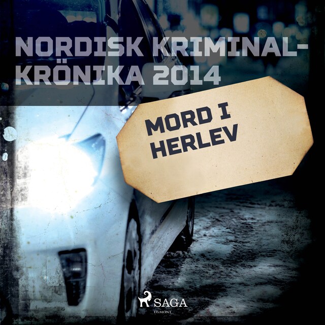 Book cover for Mord i Herlev