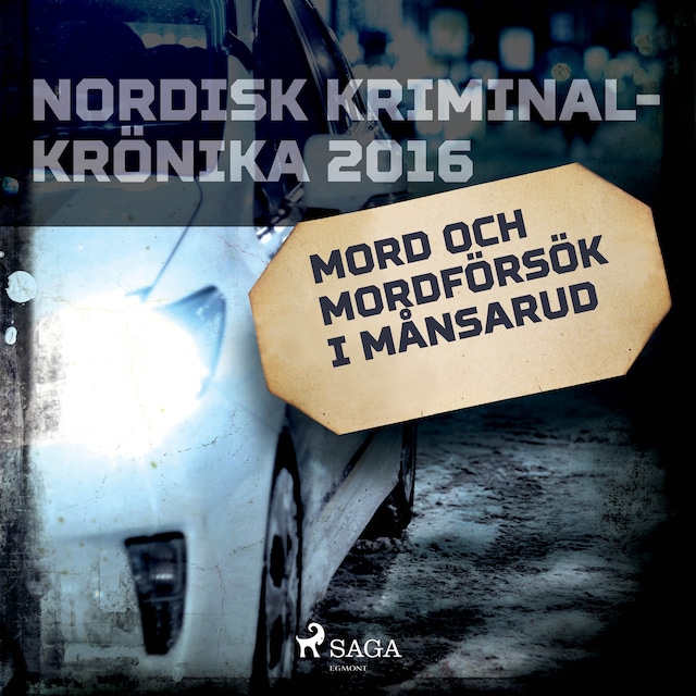 Book cover for Mord och mordförsök i Månsarud