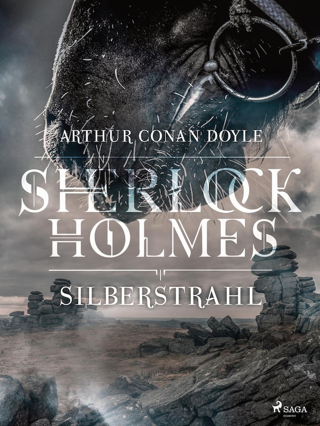 Book cover for Silberstrahl