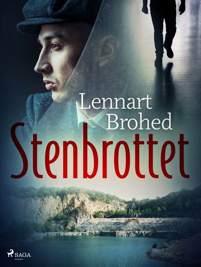 Book cover for Stenbrottet