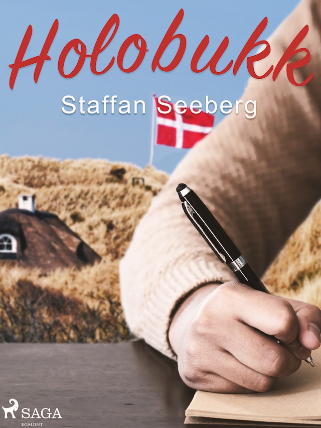 Buchcover für Holobukk