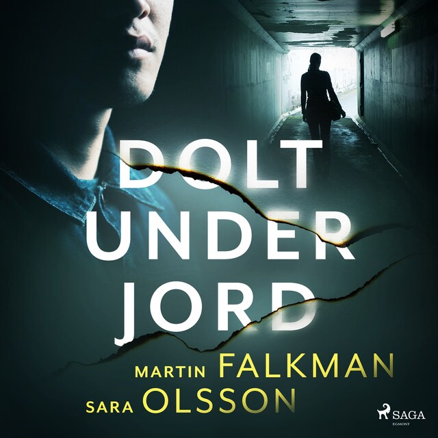 Book cover for Dolt under jord