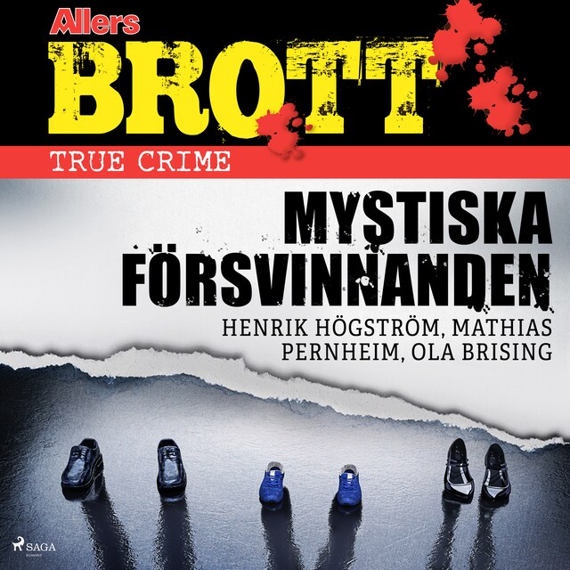 Book cover for Mystiska försvinnanden