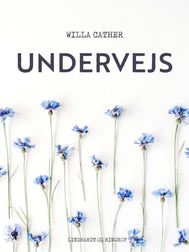 Buchcover für Undervejs