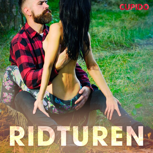 Book cover for Ridturen