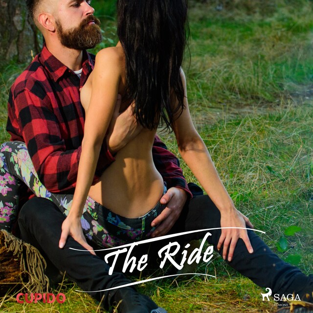 Couverture de livre pour The Ride