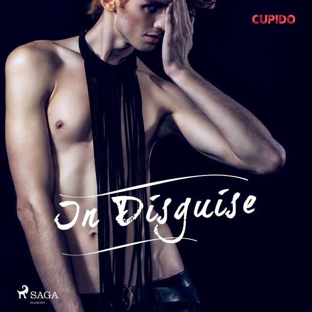 Book cover for In Disguise