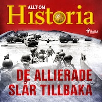 De allierade slår tillbaka