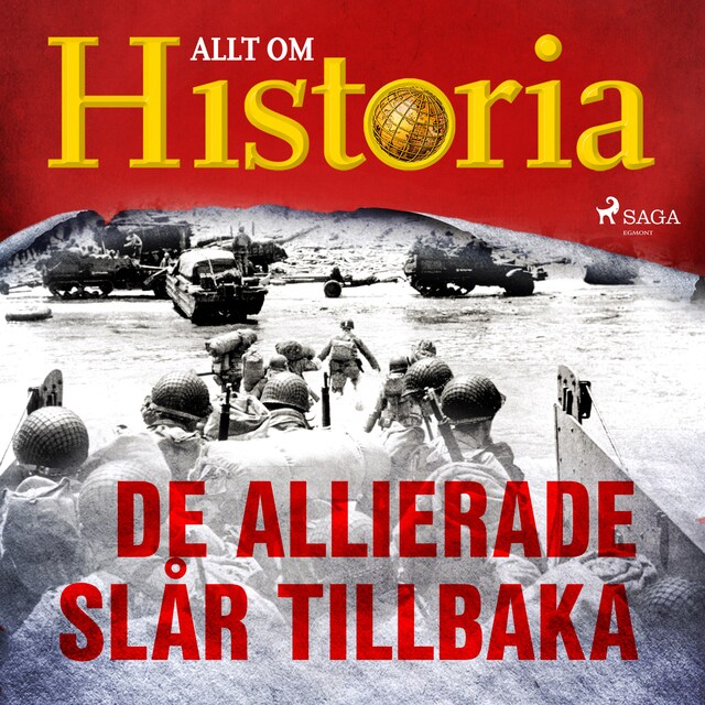 Copertina del libro per De allierade slår tillbaka