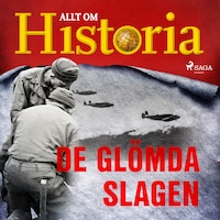 De glömda slagen