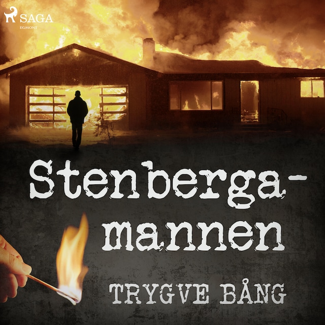 Book cover for Stenbergamannen