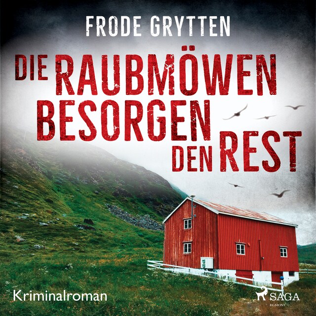 Book cover for Die Raubmöwen besorgen den Rest
