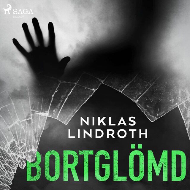 Book cover for Bortglömd