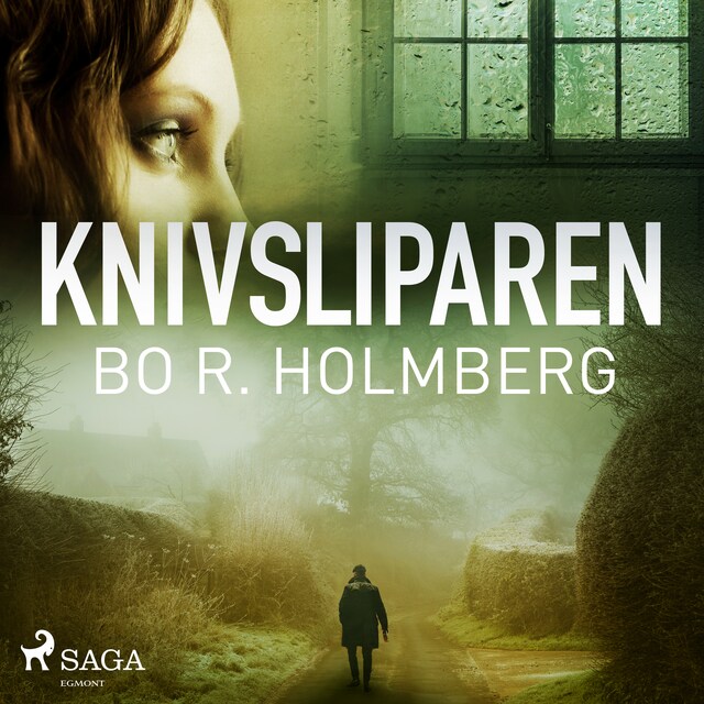 Book cover for Knivsliparen