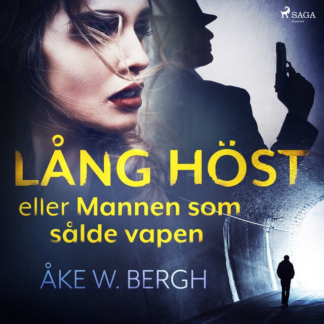 Book cover for Lång höst eller Mannen som sålde vapen