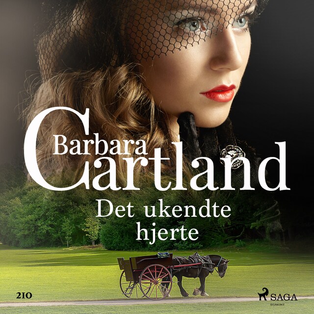 Book cover for Det ukendte hjerte