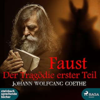 Faust - Der Tragödie erster Teil als Hörbuch