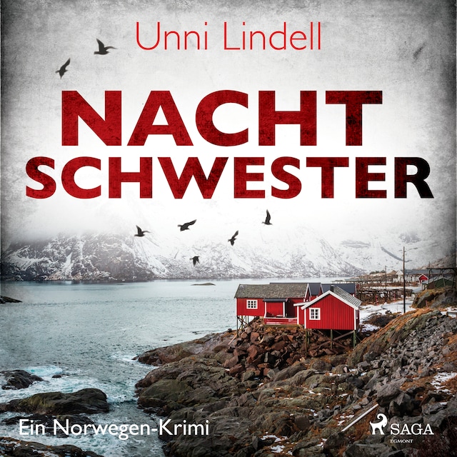 Book cover for Nachtschwester - Ein Norwegen-Krimi