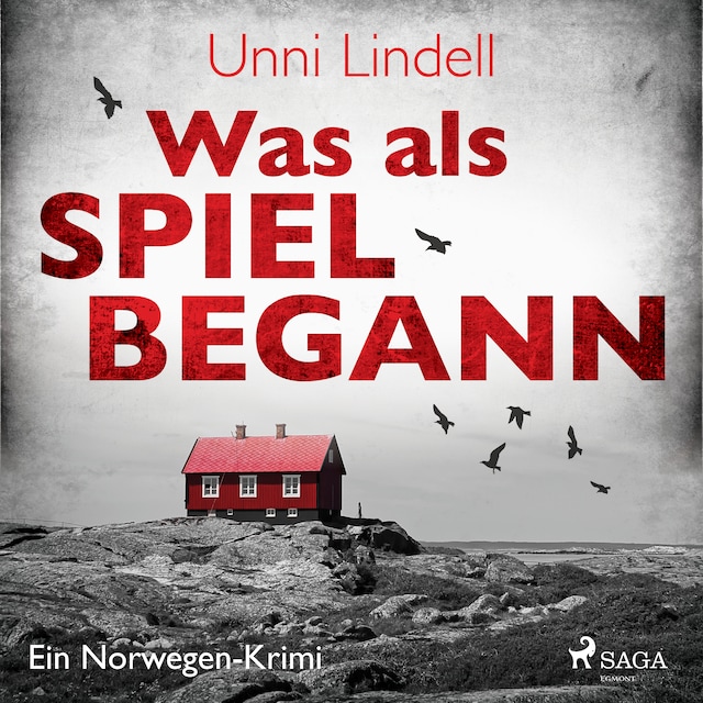 Book cover for Was als Spiel begann - Ein Norwegen-Krimi