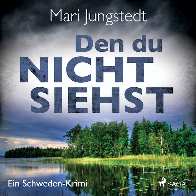 Book cover for Den du nicht siehst - Ein Schweden-Krimi