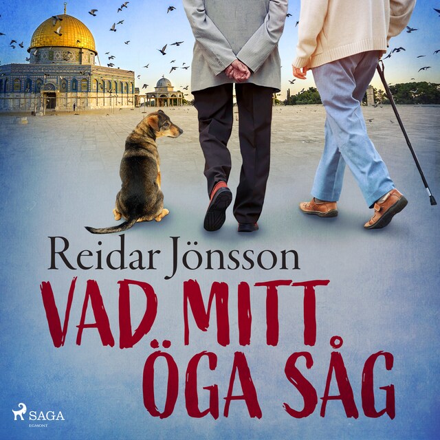 Book cover for Vad mitt öga såg