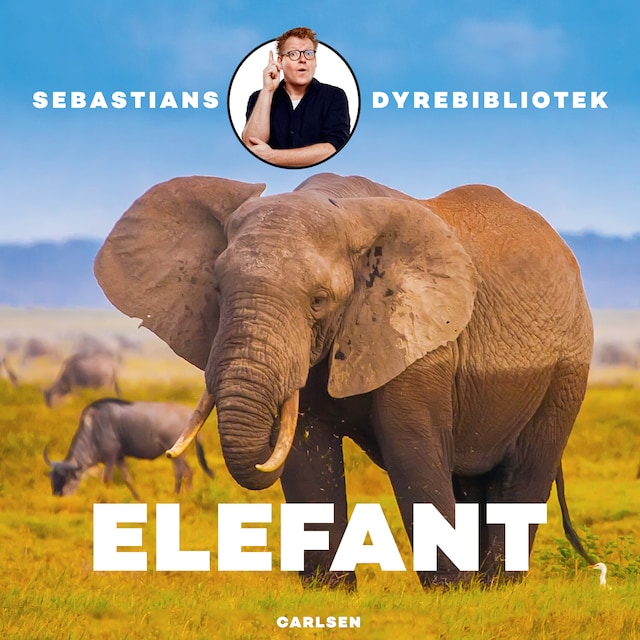 Bogomslag for Sebastians dyrebibliotek - Elefant