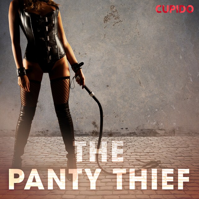 Kirjankansi teokselle The Panty Thief