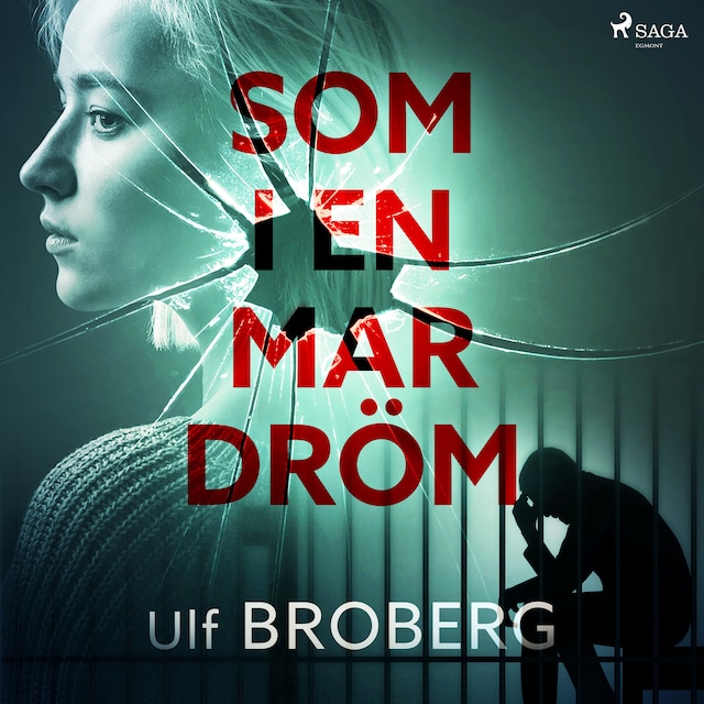 Book cover for Som i en mardröm