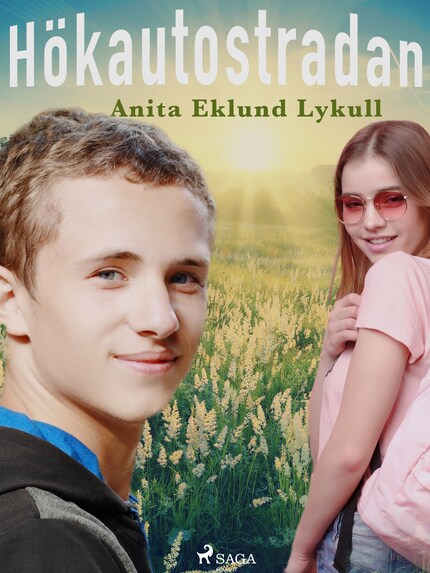 Hökautostradan bookCoverFor