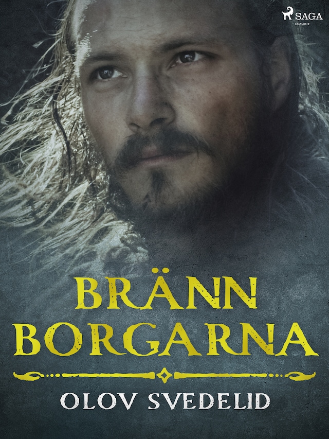 Book cover for Bränn borgarna