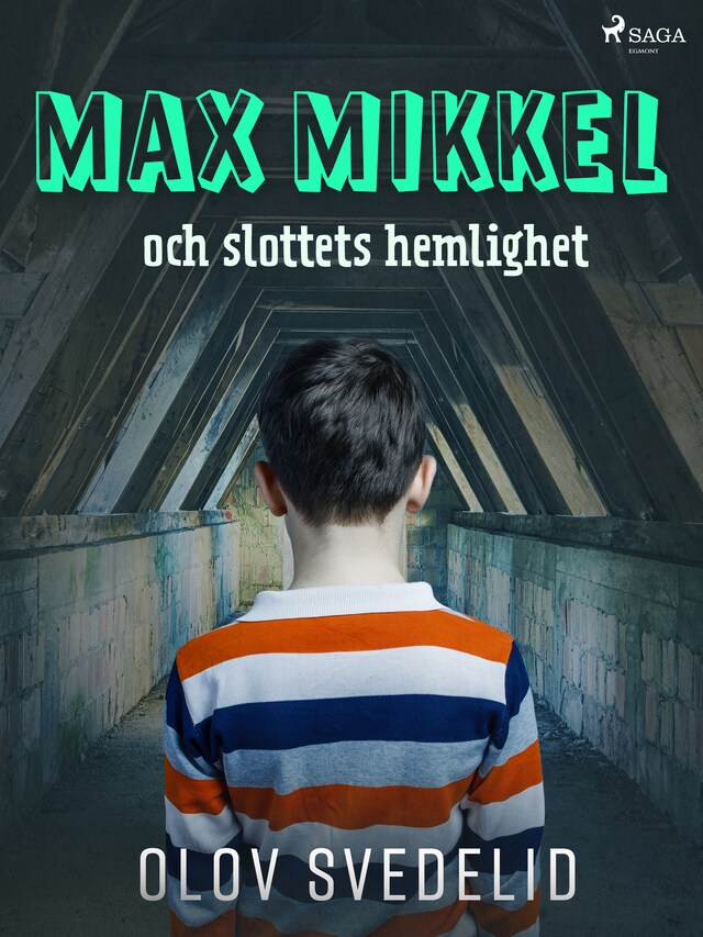 Book cover for Max Mikkel och slottets hemlighet