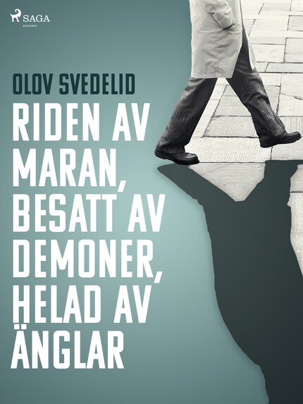 Riden av maran, besatt av demoner, helad av änglar bookCoverFor