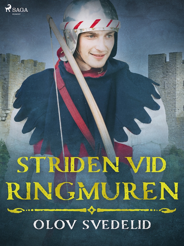 Book cover for Striden vid ringmuren