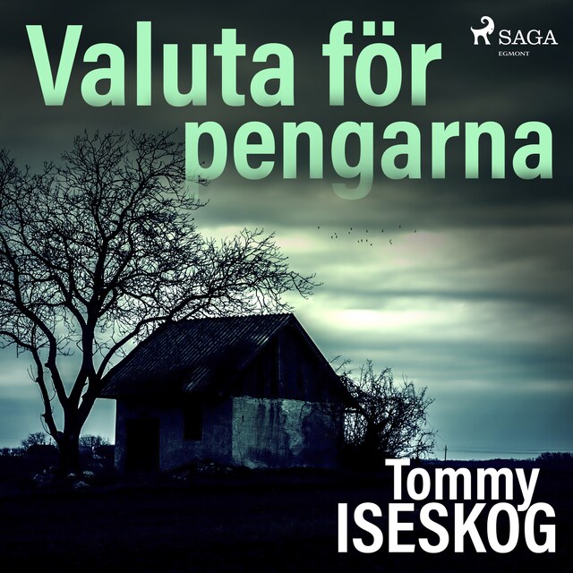 Book cover for Valuta för pengarna