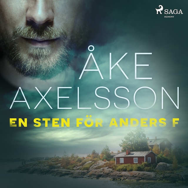 Book cover for En sten för Anders F
