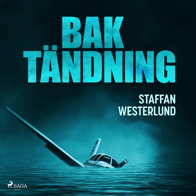 Book cover for Baktändning