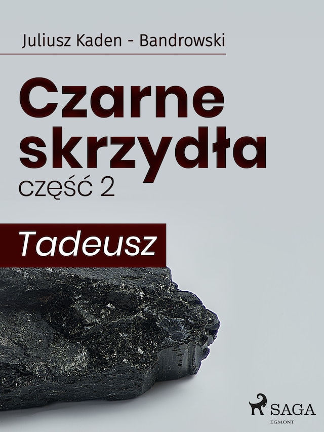 Okładka książki dla Czarne skrzydła 2 - Tadeusz