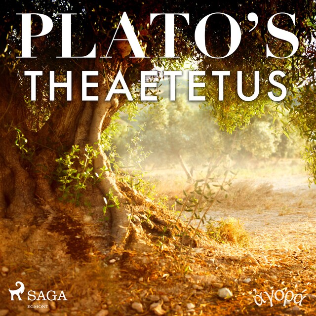 Kirjankansi teokselle Plato’s Theaetetus