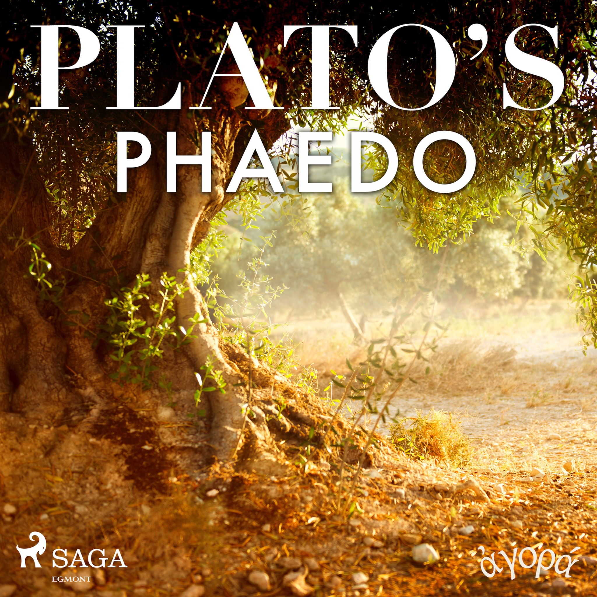 Plato’s Phaedo ilmaiseksi