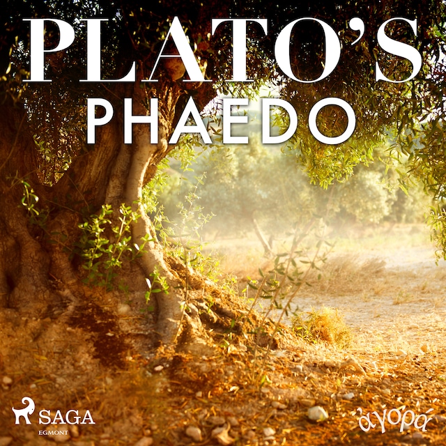 Book cover for Plato’s Phaedo